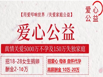 白朗捐卵助孕生子 爱心志愿者招募